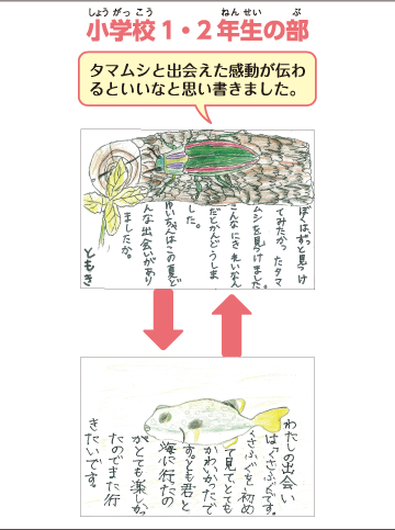 小学校１・２年生の部