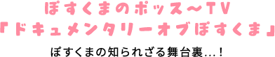 ぽすくまの知られざる舞台裏…！