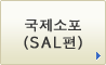 국제소포(SAL편) 