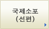 국제소포(선편)