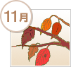 11月