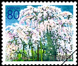 三春滝桜