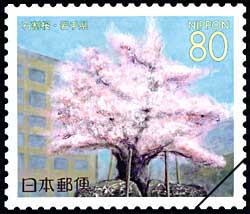 石割桜